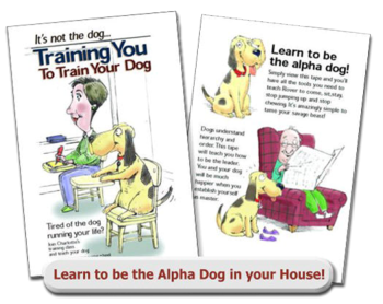 train-your-dog-dvd-charlotte-the-dog-trainer